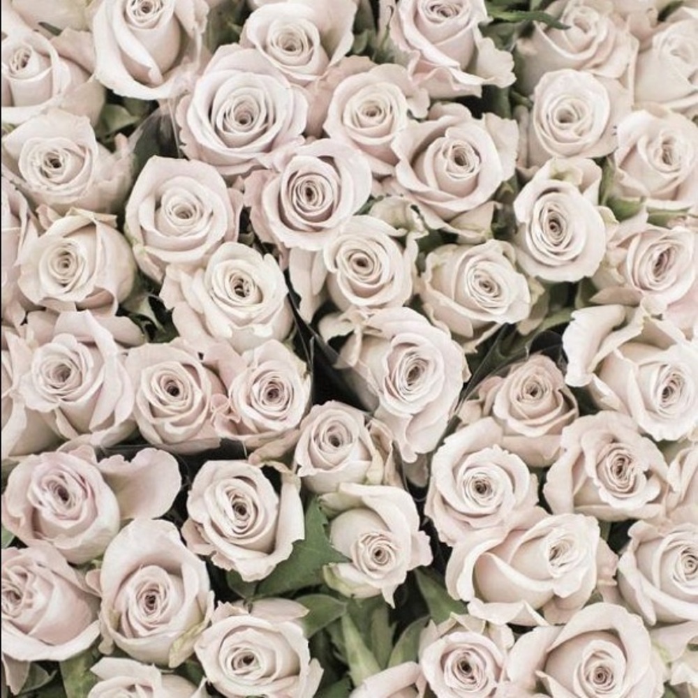 Meet your Posher, Arineh